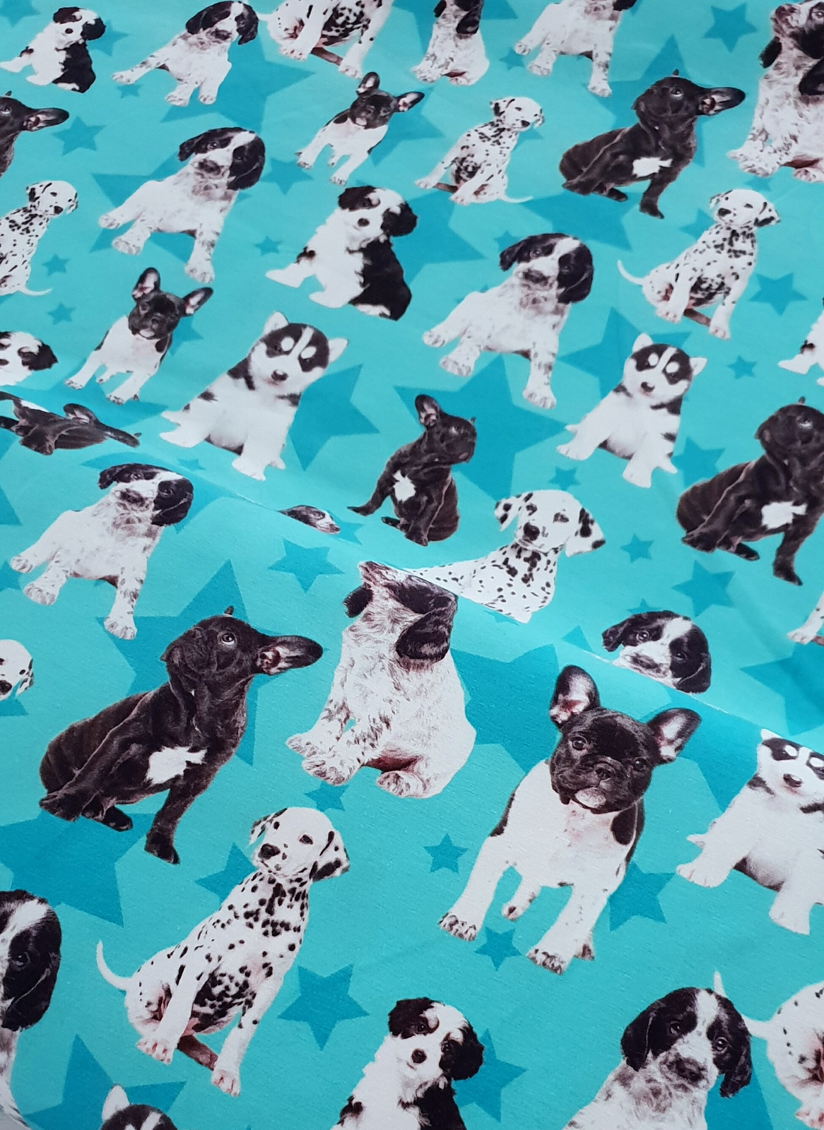 Euro Jersey Dog Puppies Stars Turquoise Jersey Knit Fabric Wattle