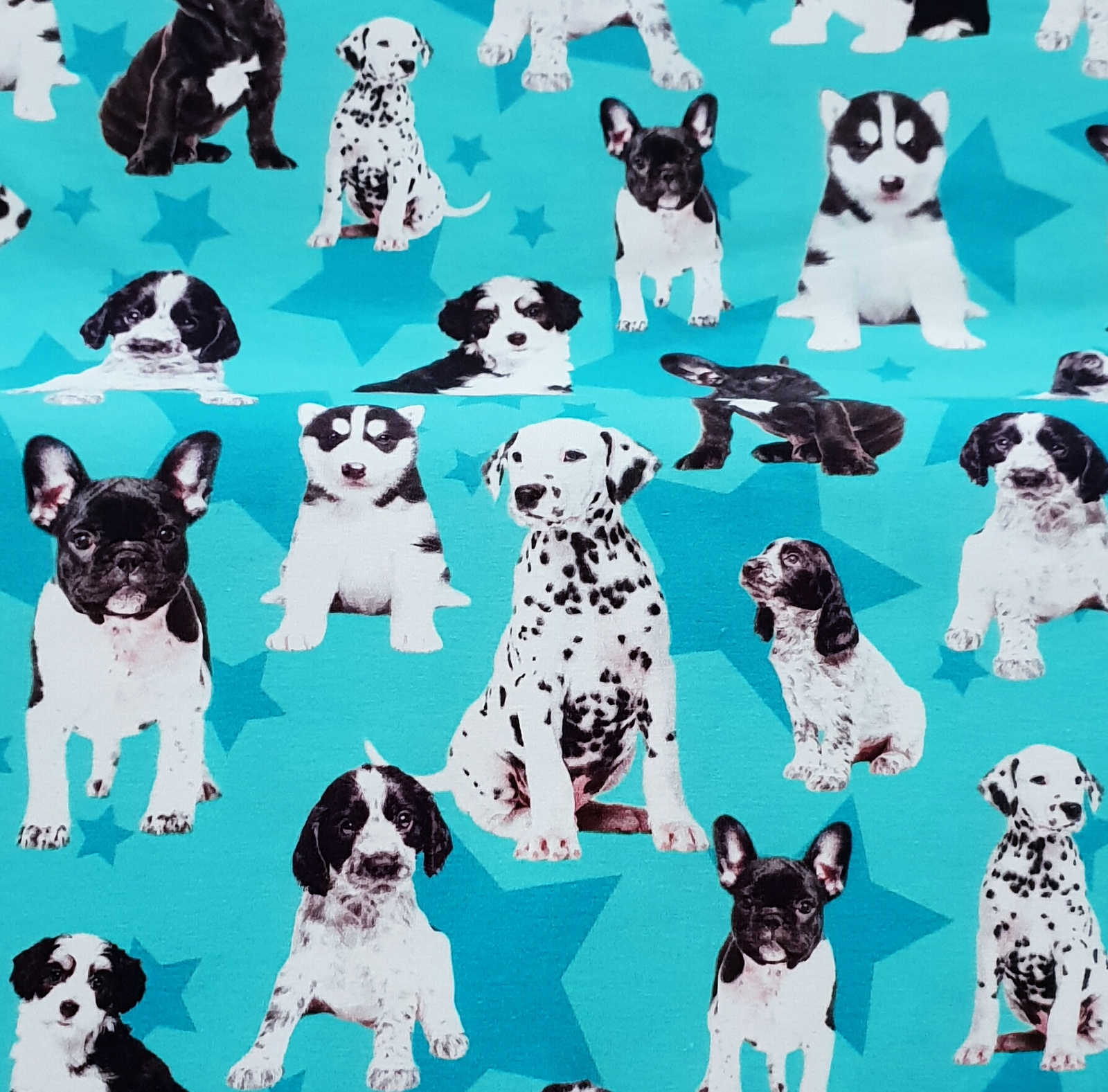 Euro Jersey Dog Puppies Stars Turquoise Jersey Knit Fabric Wattle