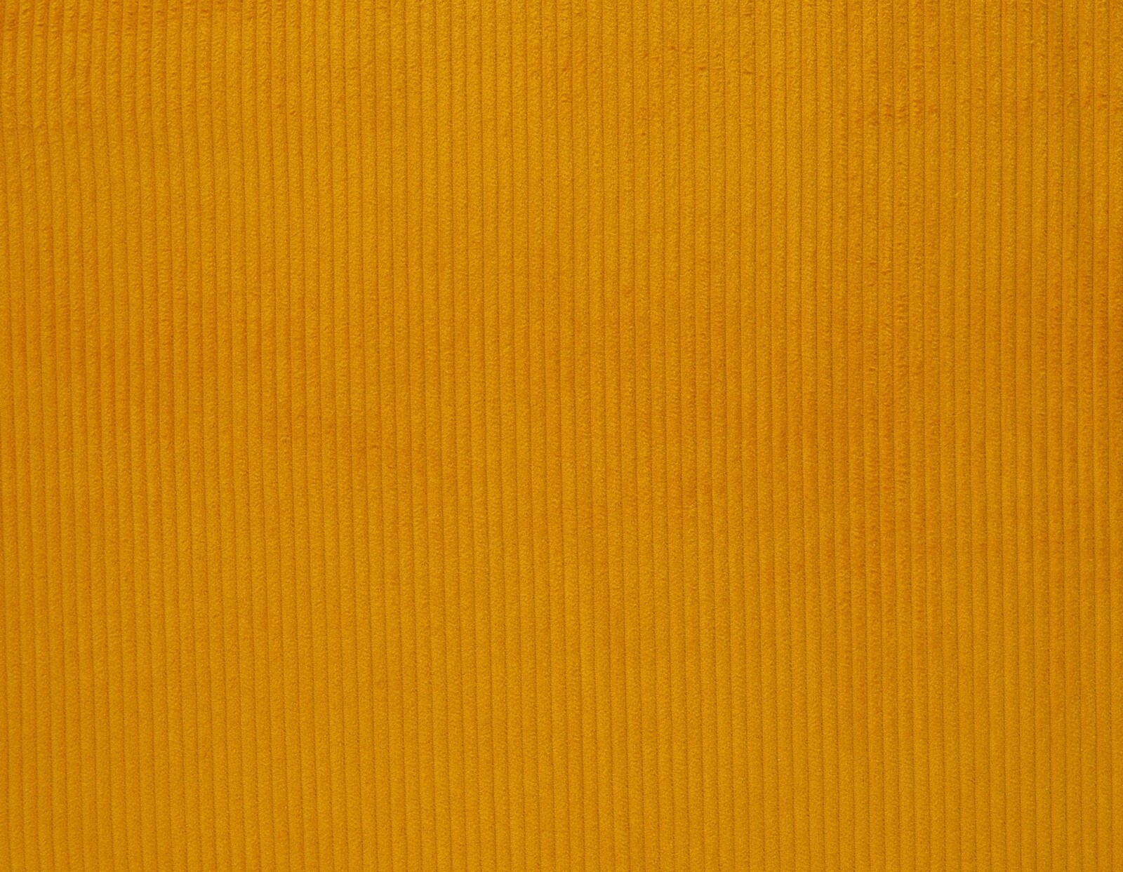 European Wide Corduroy Fabric Solid Mustard Yellow Wattle Hill Fabrics