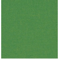 Devonstone Collection, Cotton DC Solids - Crocodile Green