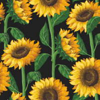 European Cotton Elastane Jersey, GOTS Organic, Sunflowers