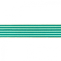 Waistband Elastic, Soft 40mm Stripes Apple Green