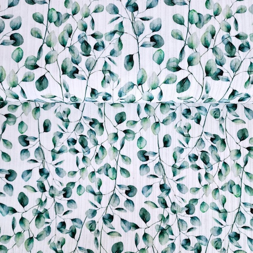 European Cotton Ribbed Pointelle Jersey, Oeko-Tex, Eucalypt Print