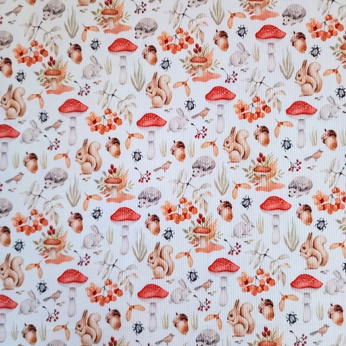 European Fine Ribbed Jersey Knit, Oeko-Tex, Squirrel Friends