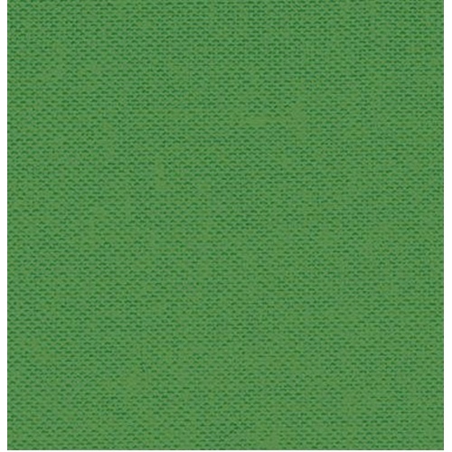 Devonstone Collection, Cotton DC Solids - Crocodile Green