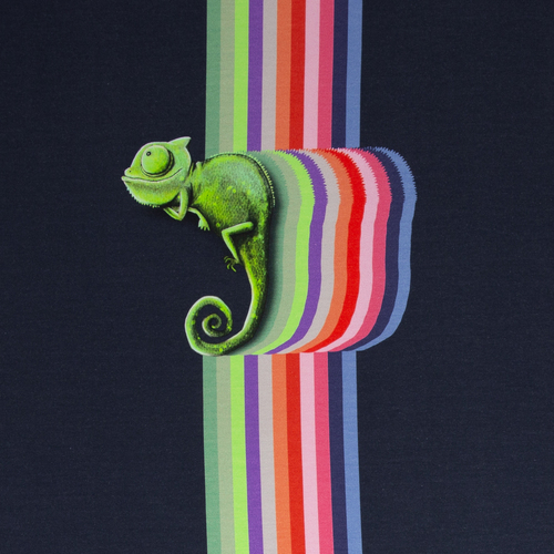 European Modal Blend Summer French Terry Knit, Colourful Chameleons Panel 85cm